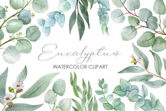 Download Eucaliptus Branches Watercolor Clipart - Branches Collection