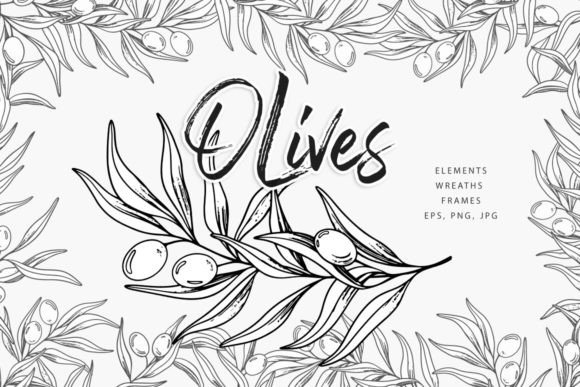 Download Olive Branches, Botanical Line Art - Branches Collection